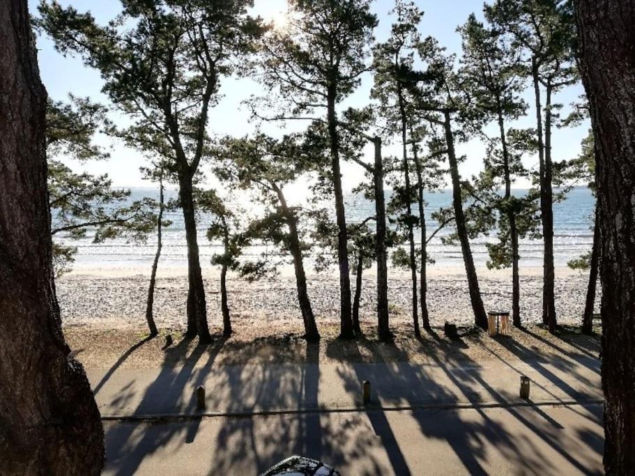 Face A La Mer Fouesnant Zewnętrze zdjęcie