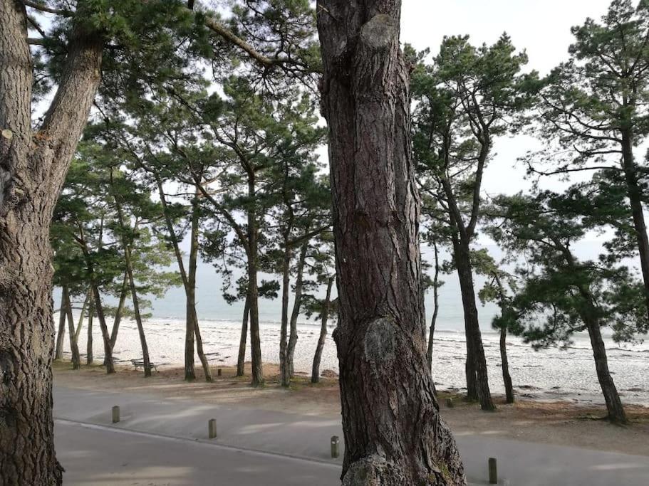 Face A La Mer Fouesnant Zewnętrze zdjęcie