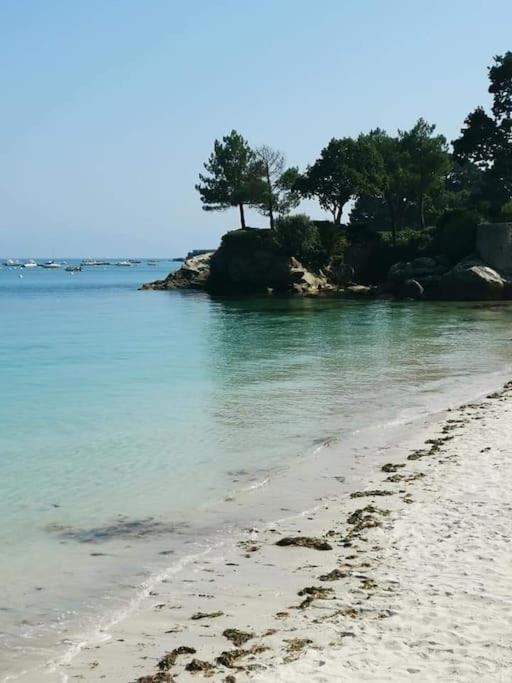 Face A La Mer Fouesnant Zewnętrze zdjęcie